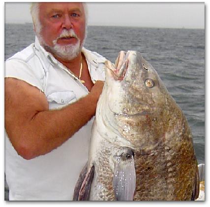 Yes, that's a Black
                      Drum, a once in a lifetime catch!