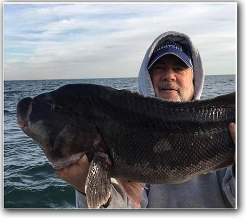 18 ound tog caught
                      on Long Island