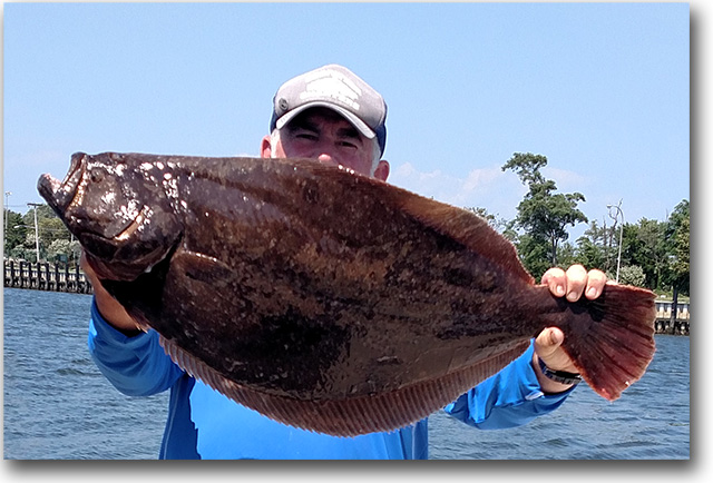 Incredible 13.8 lb
                      Summer Flounder (aka a Fluke) on the Codefather
                      out of Freeort NY