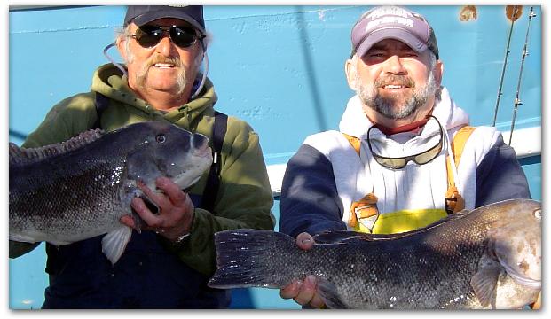 The Captain and
                      First mate show off some huge blackfish back at
                      the dock