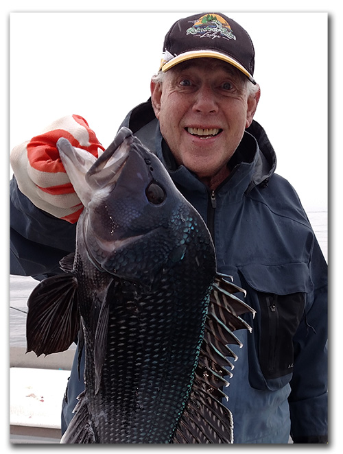 Offshore fishing for
                      black Sea Bass LI NY